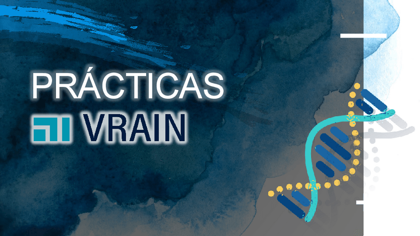 Miniatura del documento PRACTICAS-VRAIN-NHBC.pdf