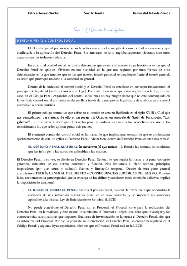 Miniatura del documento TEMA-1-PENAL-I.pdf