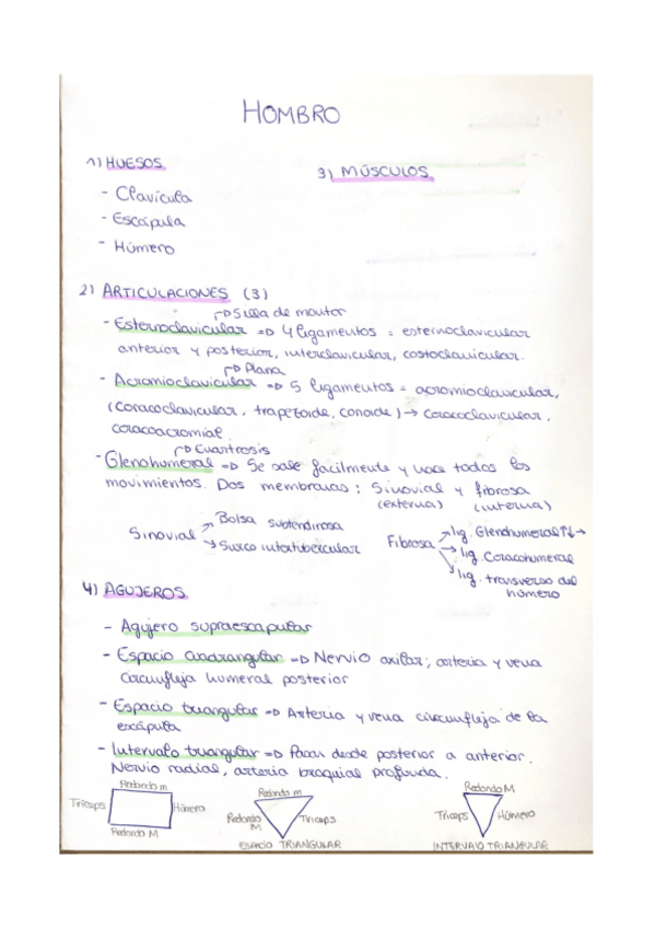 Miniatura del documento Esquemas-modulo-4.pdf