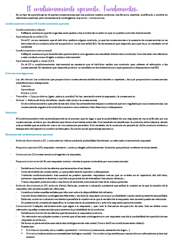 Miniatura del documento TEMA-3-PSICOLOGÍA DEL APRENDIZAJE.pdf