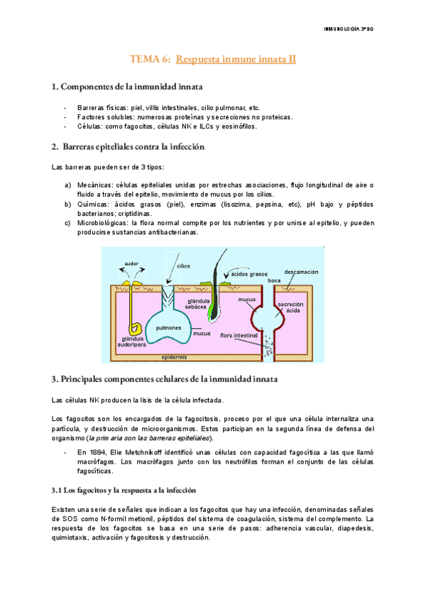 Miniatura del documento TEMA-6-Inmunologia.pdf