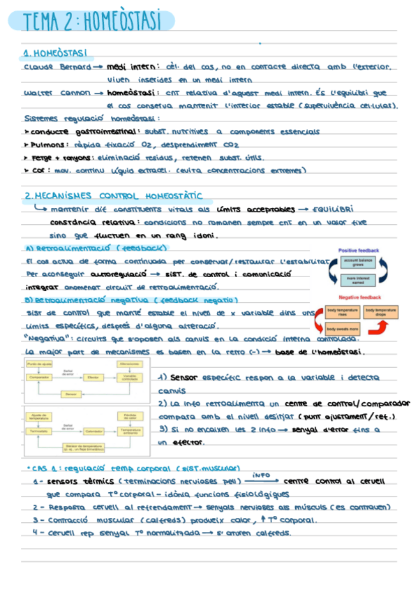 Miniatura del documento RESUM-T2-HOMEOSTASI.pdf