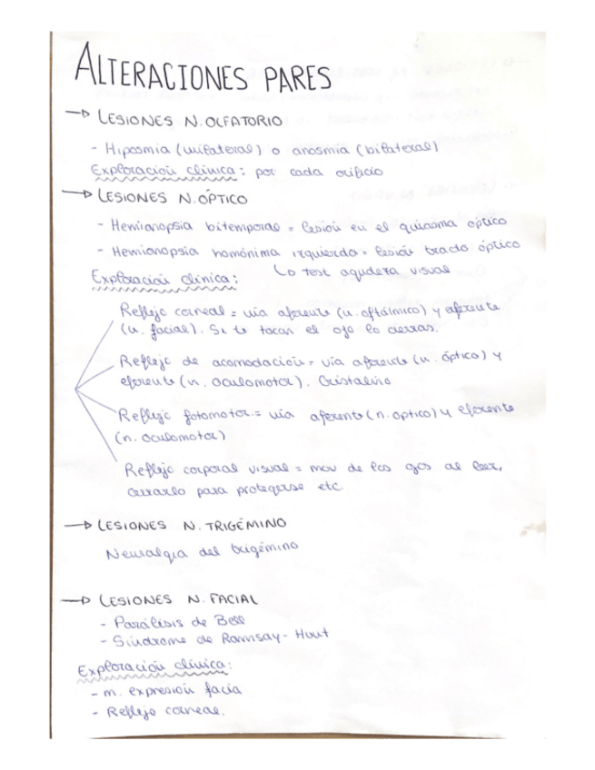 Miniatura del documento ANATOMIA-2.-ESQUEMAS.-ALTERACIONES-PARES.pdf