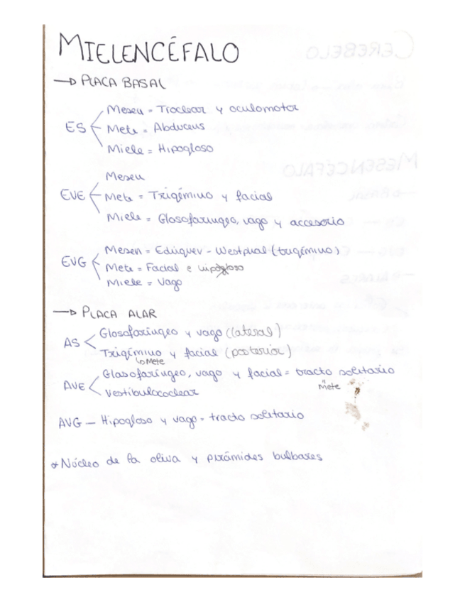 Miniatura del documento ANATOMIA-2.-ESQUEMAS.-MODULO-3.pdf