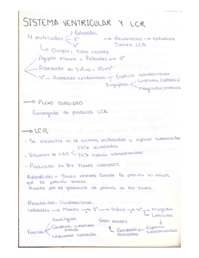 Miniatura del documento ANATOMIA-2.-ESQUEMAS.-MODULO-4.pdf