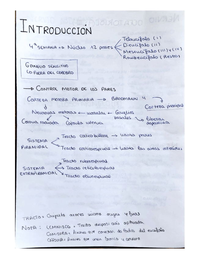 Miniatura del documento ANATOMIA-2.-ESQUEMAS.-PARES-CRANEALES.pdf