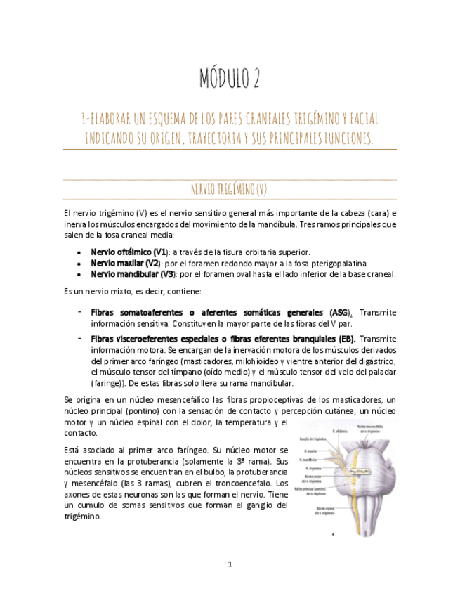 Miniatura del documento MODULO-2.pdf