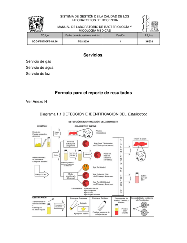 Miniatura del documento 01.-Manual-de-laboratorio-de-bacteriologia-y-micologia-medicas-autor-Varios-autores-31-40.pdf