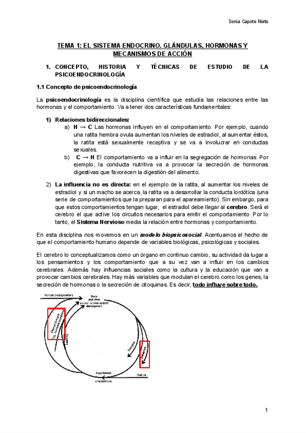 Miniatura del documento TEMA-1-EL-SISTEMA-ENDOCRINO-Documentos-de-Google.pdf