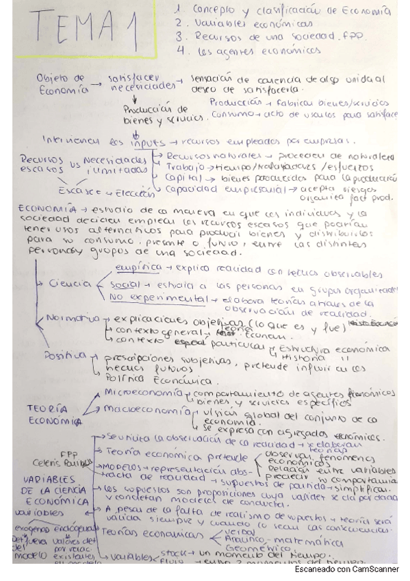 Miniatura del documento TEMA-1-ECONOMAA-1AADEFYCO.pdf