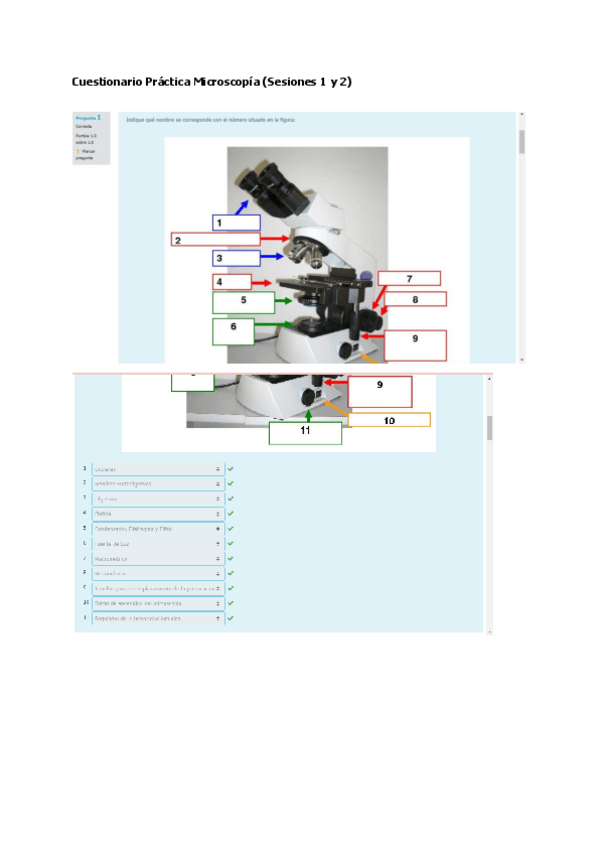 Miniatura del documento Cuestionario-Practica-Microscopia-Sesiones-1-y-2.pdf