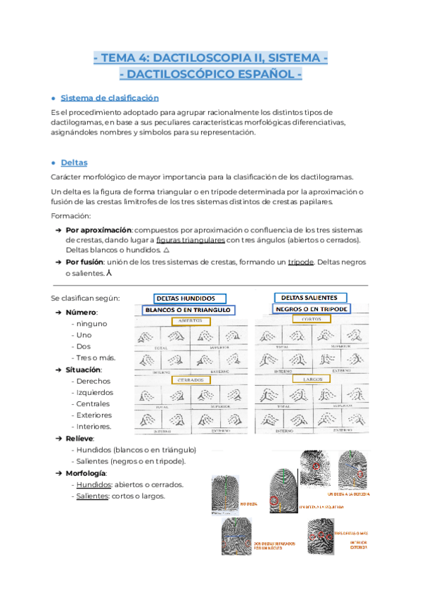 Miniatura del documento Tema-4.pdf