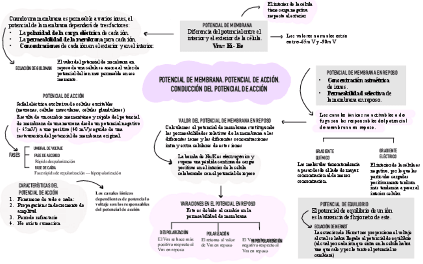 Miniatura del documento Potencial-De-Membrana.pdf