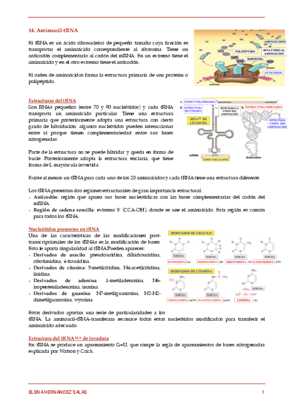 Miniatura del documento Genética molecular parcial 2.pdf