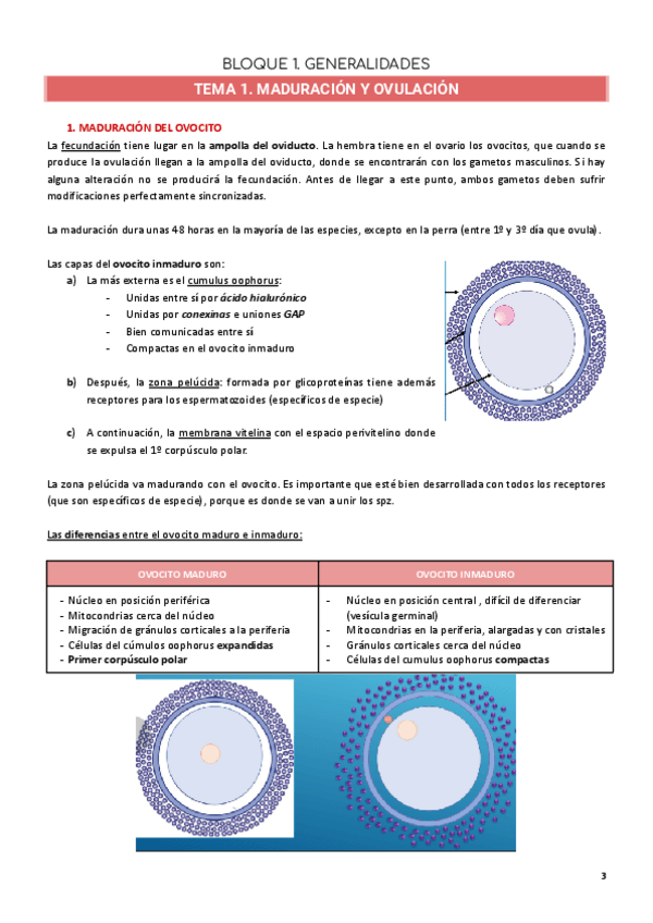 Miniatura del documento BLOQUE-I.-GENERALIDADES.pdf