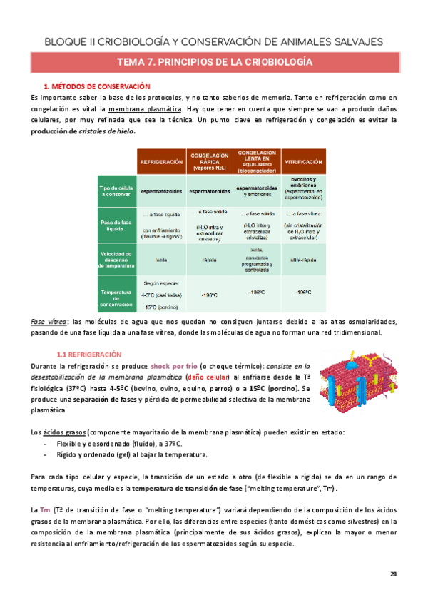Miniatura del documento BLOQUE-II.-CRIOBIOLOGIA.pdf