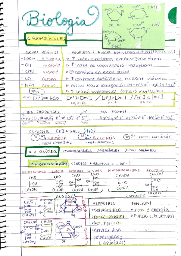Miniatura del documento BIO-1-BATX-RESUM-SENCER.pdf