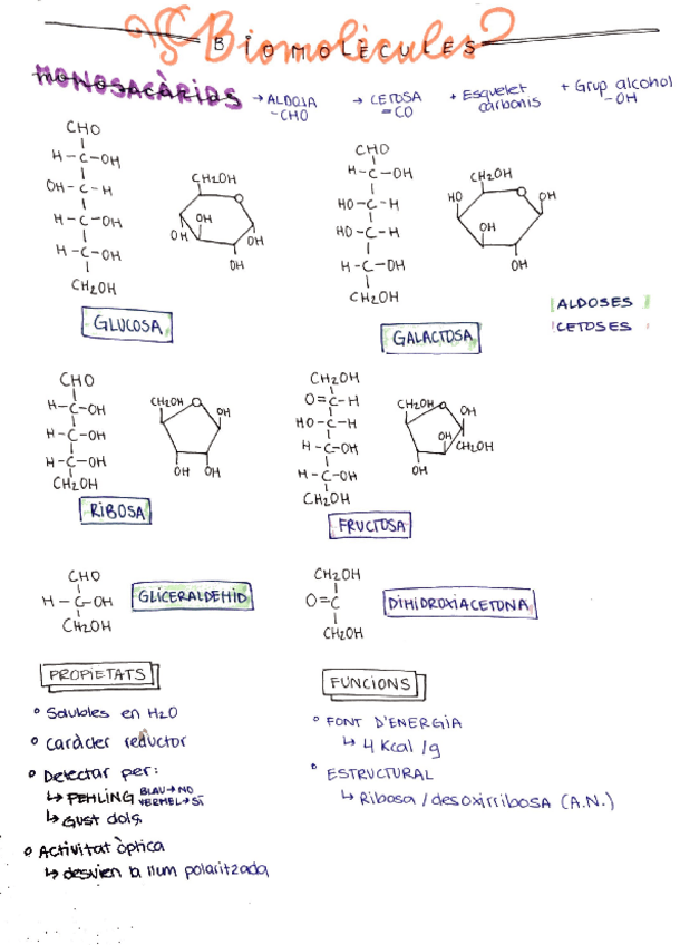 Miniatura del documento BIO-PAU-2-BATX-SENCER.pdf