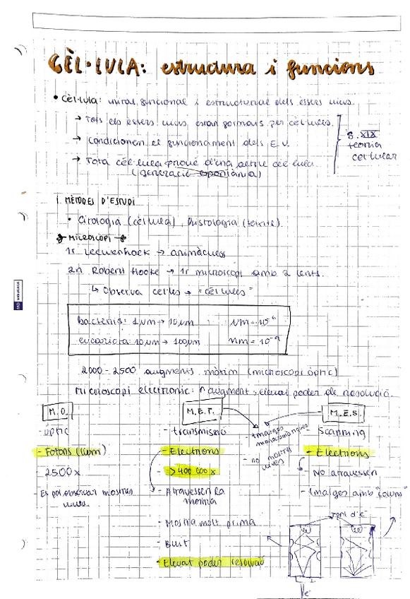 Miniatura del documento Cellula-i-teixits-LLARG.pdf