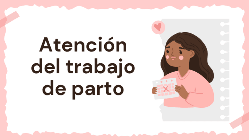 Miniatura del documento Atencion-del-parto.pdf