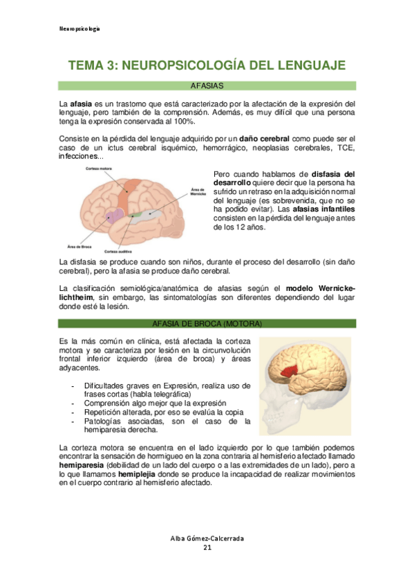 Miniatura del documento Neuropsicologia-Tema-3.pdf