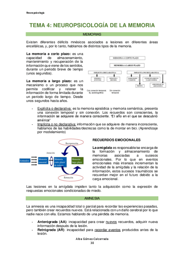 Miniatura del documento Neuropsicologia-Tema-4.pdf