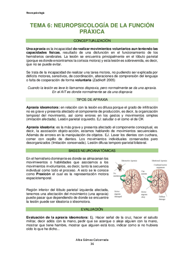 Miniatura del documento Neuropsicologia-Tema-6.pdf