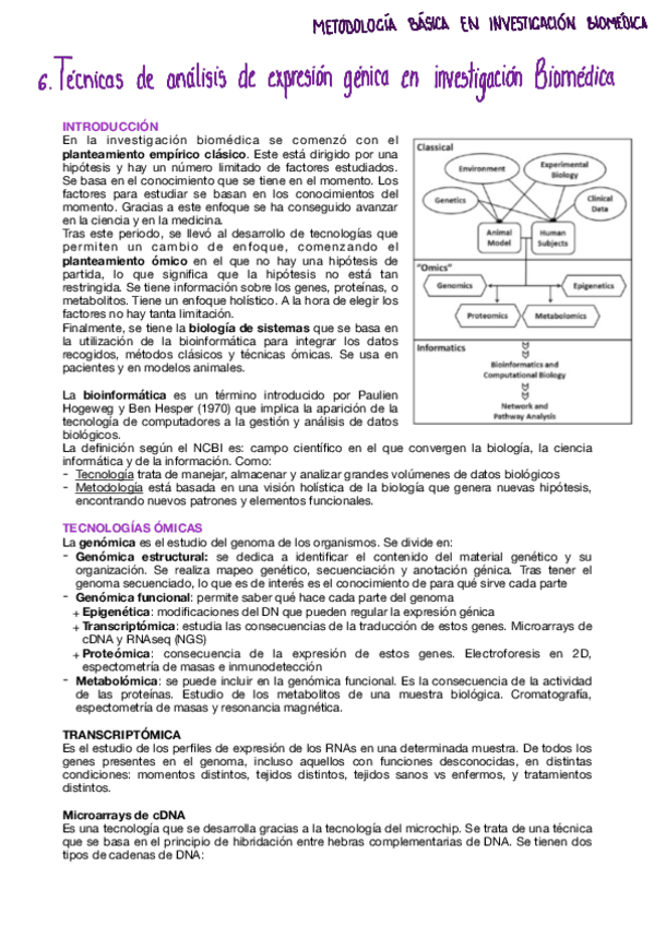 Miniatura del documento Tema-6-metodologia.pdf