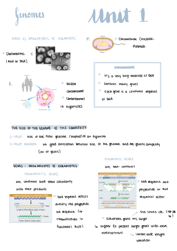 Miniatura del documento UNIT-1-4.pdf