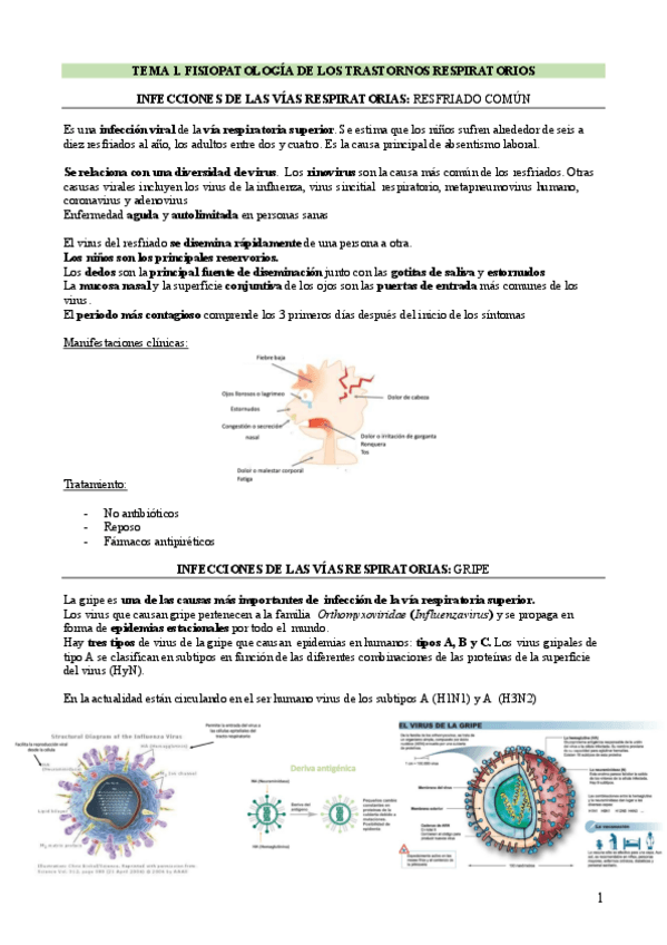 Miniatura del documento FISIOPATOLOGIA-DE-LOS-TRAST.-RESP-y-ACIDO-BASE.pdf