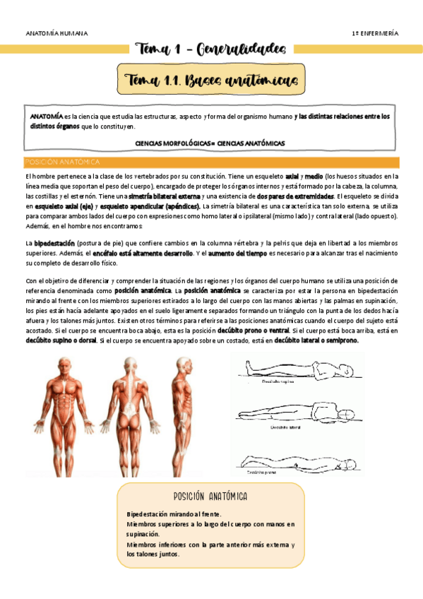Miniatura del documento Tema-1-Bases-anatomicas-y-generalidades.pdf