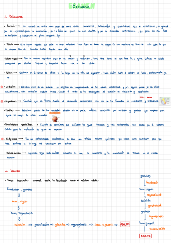 Miniatura del documento Examen-resuelto-Primer-cuatrimestre.pdf