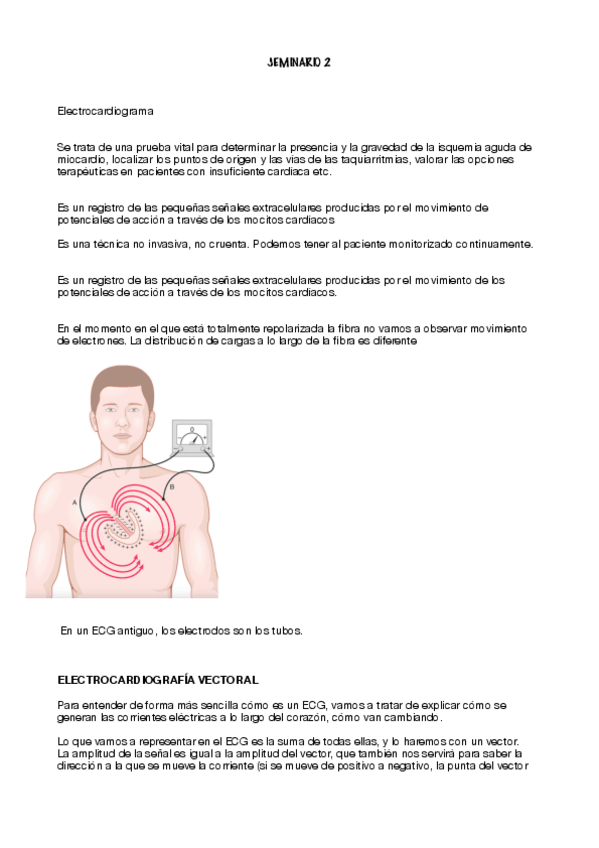 Miniatura del documento SEMINARIO-2-CIRCULATORIO.pdf