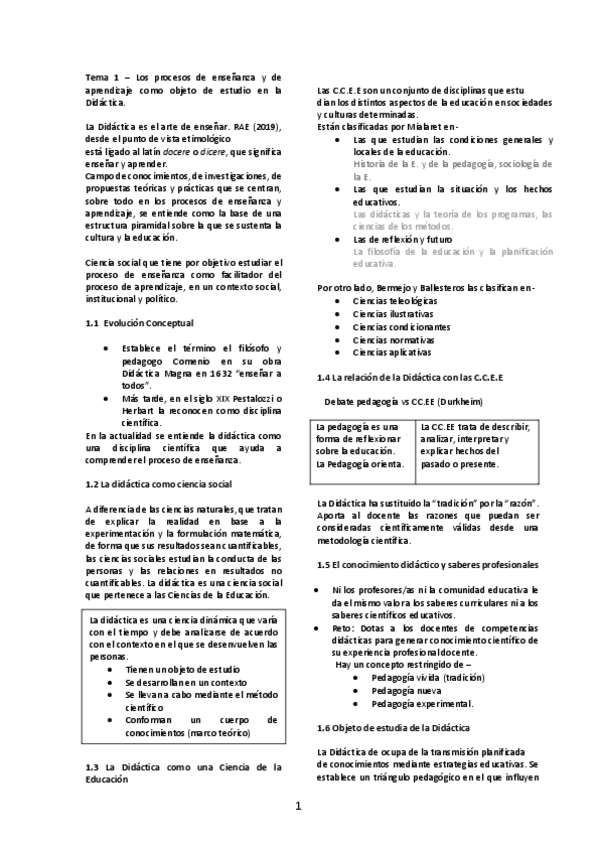 Miniatura del documento APUNTES-PEI.pdf