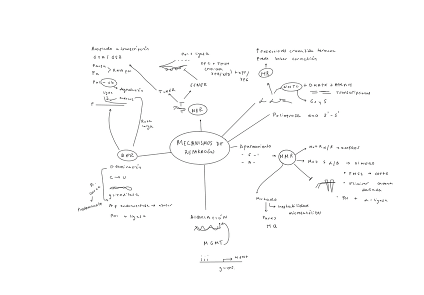 Miniatura del documento esquemas-pizarra-victor.pdf