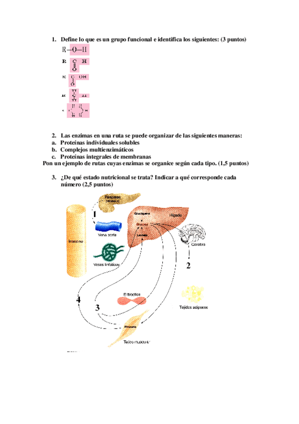 Miniatura del documento Preguntascortasejemplos.pdf