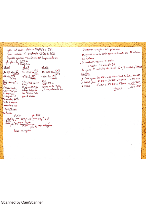 Miniatura del documento Preguntas-cortas-todas.pdf