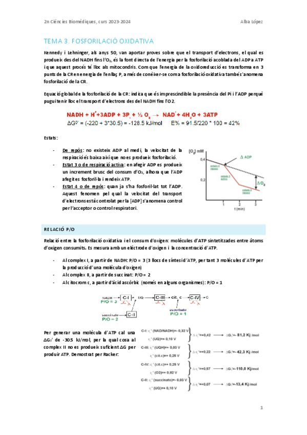 Miniatura del documento Tema-3.-Fosforilacio-oxidativa.pdf