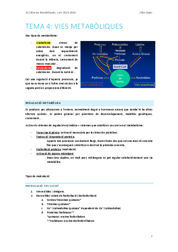 Miniatura del documento Tema-4.-Vies-metaboliques-introduccio.pdf