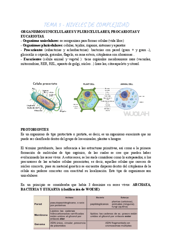 Miniatura del documento BIOLOGIA-TEMA-3.pdf