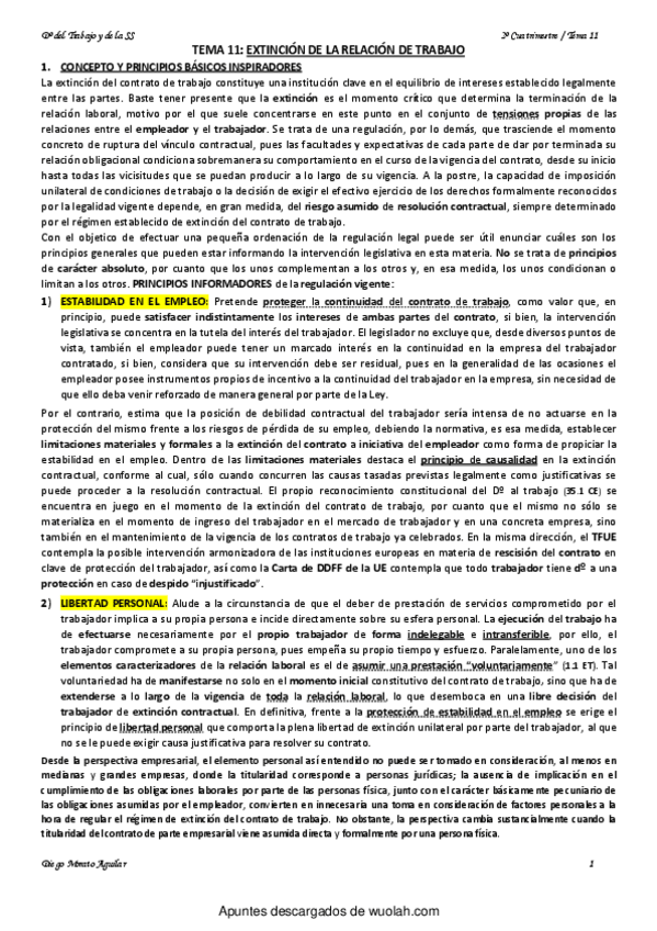 Miniatura del documento wuolah-free-TEMA 11 TRABAJO.pdf