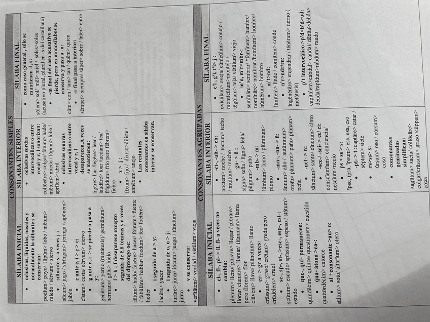 Miniatura del documento image.jpg