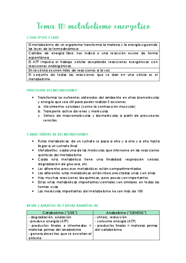Miniatura del documento Apuntes-bioquimica-tema-10-31.pdf