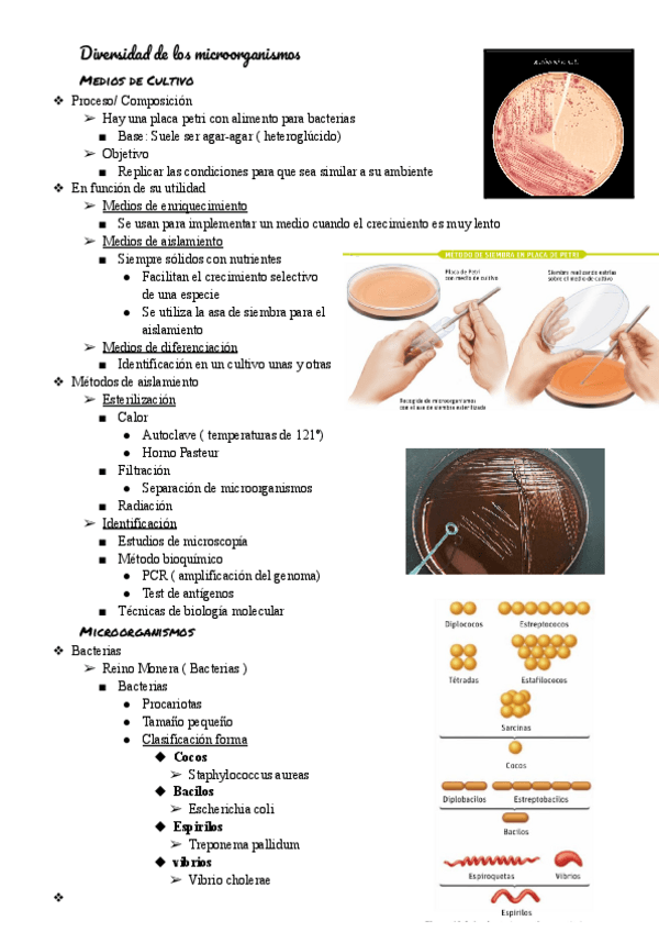 Miniatura del documento Diversidad-de-los-microorganismos-tema-18.pdf