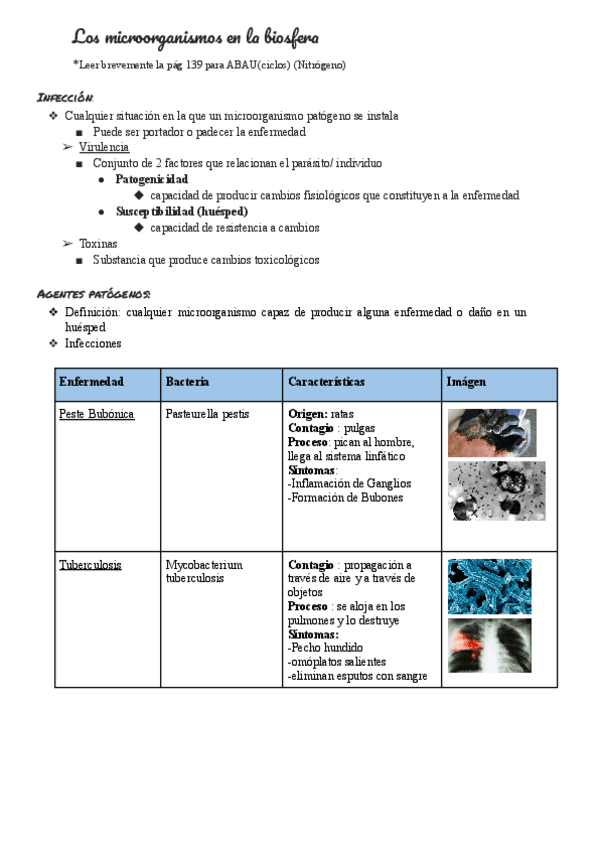 Miniatura del documento Los-microorganismos-en-la-biosfera.pdf