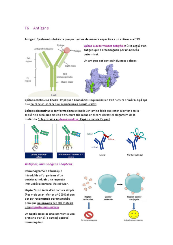 Miniatura del documento T6-Antigens.pdf