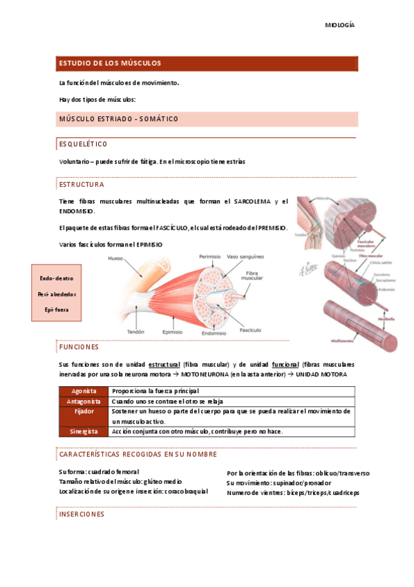 Miniatura del documento MIOLOGIA.pdf