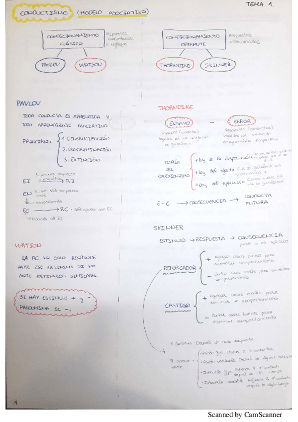 Miniatura del documento ESQUEMA TEMA 1 PSICOLOGIA.pdf