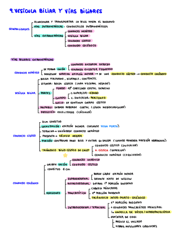 Miniatura del documento Vesicula-y-vias-biliares.pdf