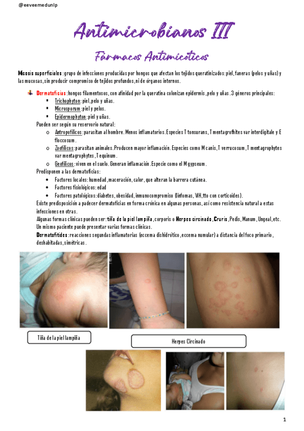 Miniatura del documento Antimicrobianos-III-Antimicoticos.pdf